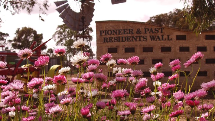 Sky Works Pics - Pioneer Residents Wall
