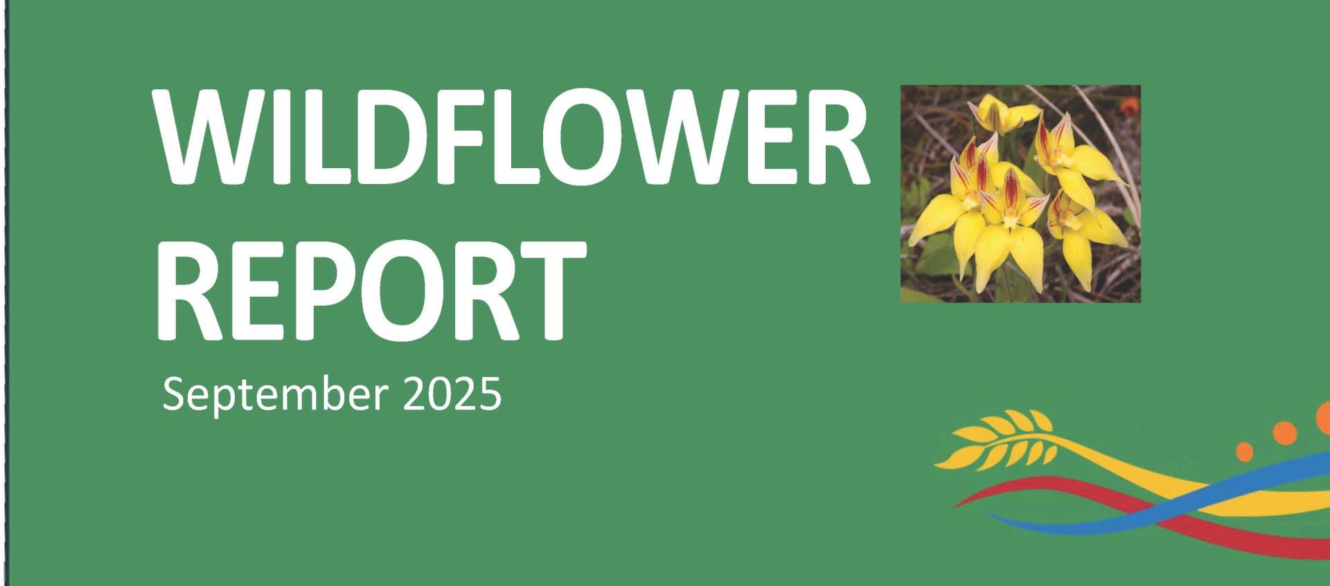 Wildflower Report - September 2025