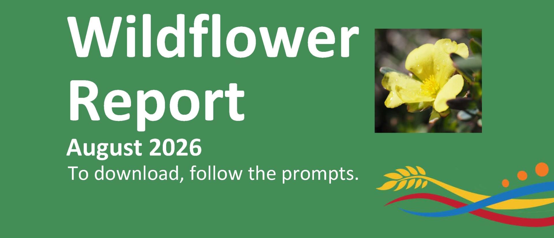 Wildflower Report - August 2026