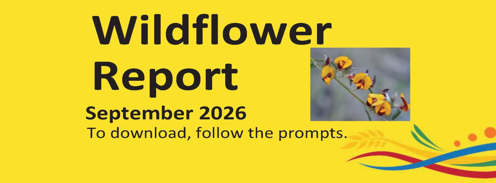 Wildflower Report - September 2026